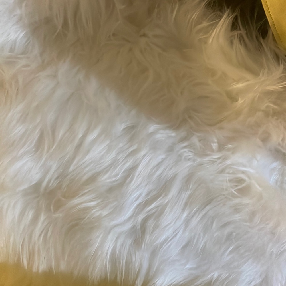 4 x 6 Faux Fur Rug